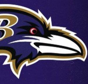 Ravens fanatic 2k12 