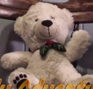 teddyadventures