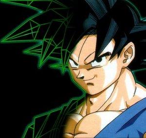 theofficialgoku
