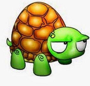 Tortle