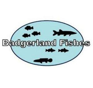 Badgerland Fishes