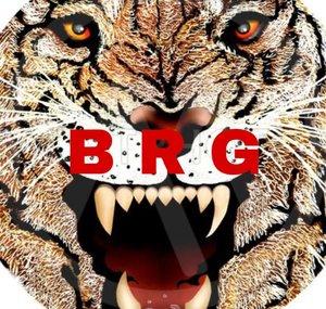BIG RAGE GAMING
