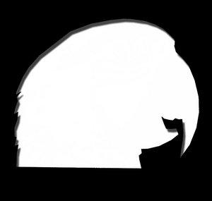 CantHandletheParrot