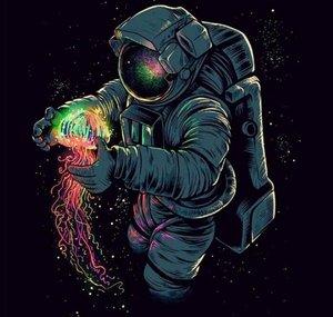 Cobra-IR