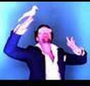 ElliotTheHawk