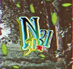 Nurik 31