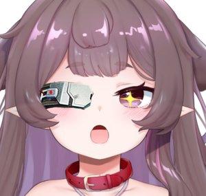 Purin ch. 犬養プリン 