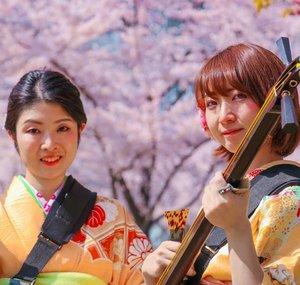 Shamisen in Tokyo