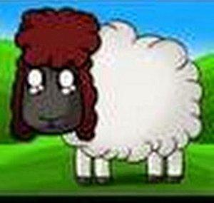 TheSheepKnowThings