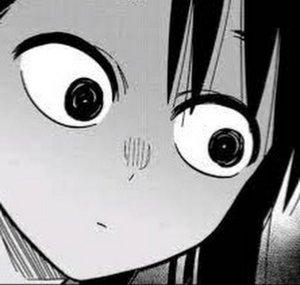 AniMV Official