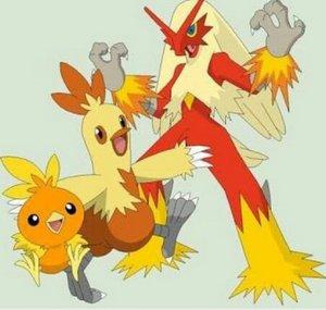 Blazing Torchic