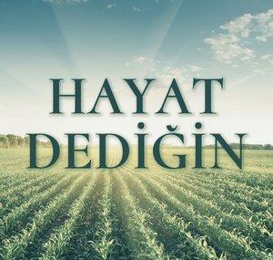 Hayat Dediğin Dizisi