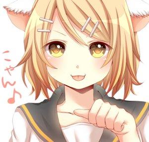 iWoLF 666