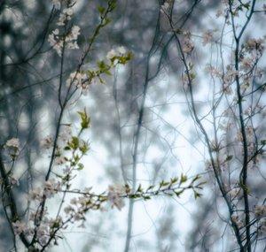 Kevin Vogrin