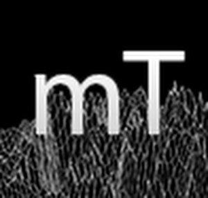 metaThink