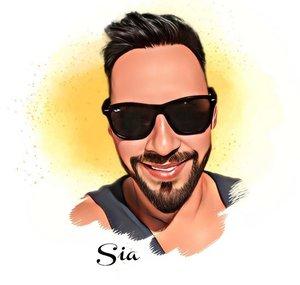 sia.741