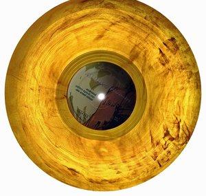 Vinyl Fury
