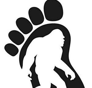 Bigfoot Silver Hide&seeker