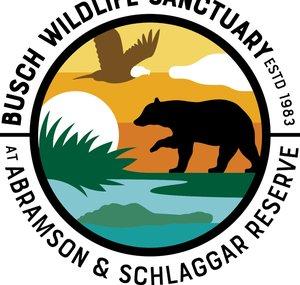 BuschWildlife
