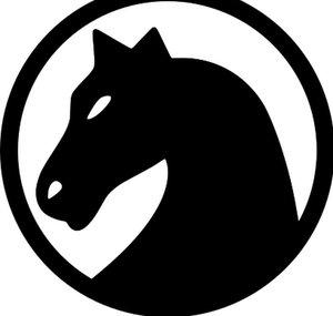 ChessNetwork