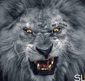 Leo Lionz