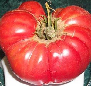 mhpgardener