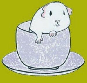 Pigjes