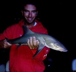 SAUL BIG FISH
