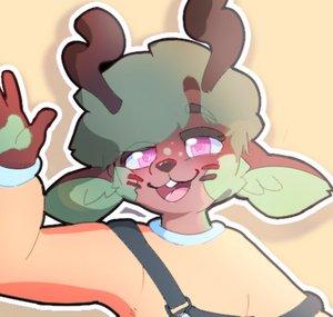 Sebs or somethin