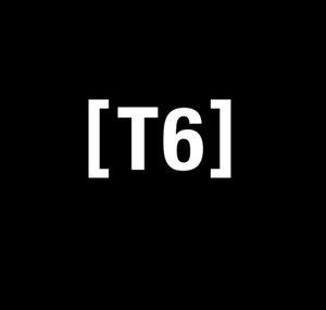 [T6]