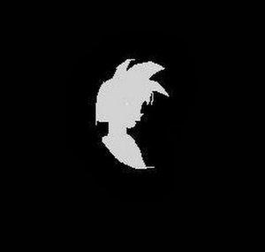 TheTransWolf