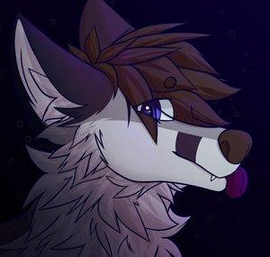 VulpesCreations