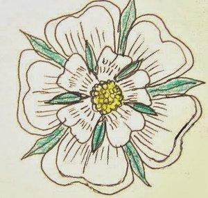 Whiterose900