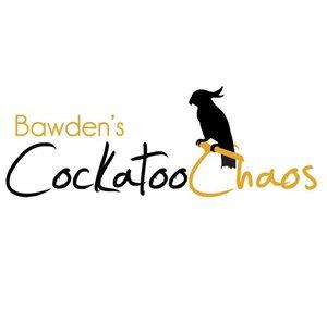 BawdensCockatooChaos