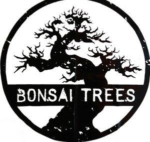 Bonsai Trees