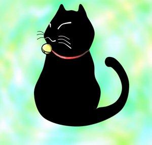 カカオ(cacao)