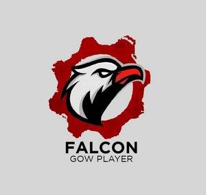 Falcon / Gow Player