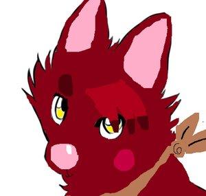 Foxina The Pirate Fox
