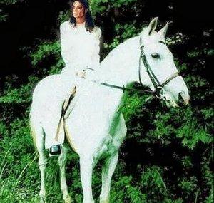 horseElizabeth