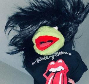 Kermit Jagger Band
