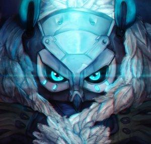 MisterPiwa