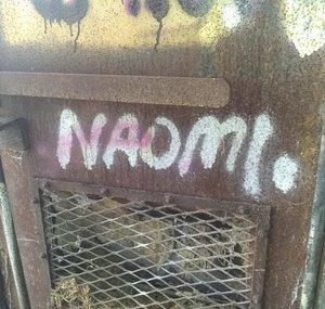 Naomi's Adventures