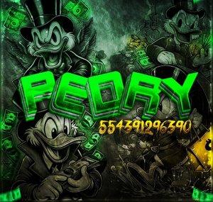 PedryVendas