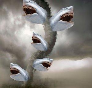 Sharkacane