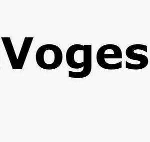 TheVoges Channel