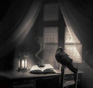 Grave Raven