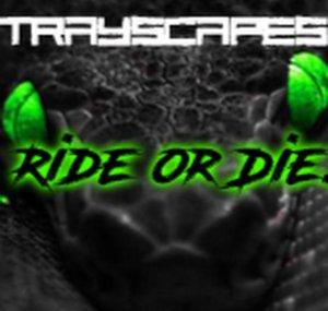 TRAYSCAPES