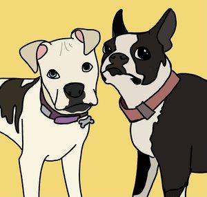 Zilla & Maggie
