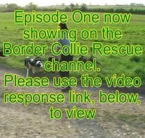 BorderlinesUK
