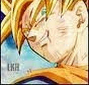 GokuSaiyanWarrior